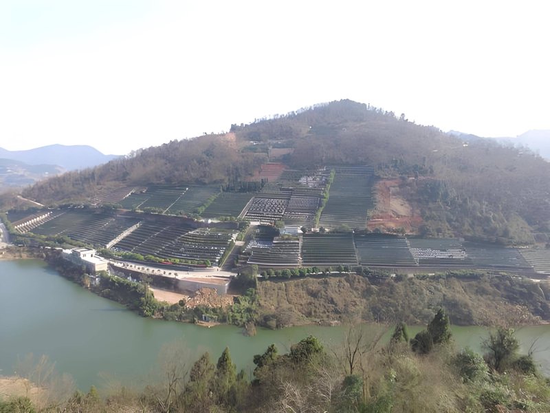 成都陵园：一个关于爱与记忆的故事